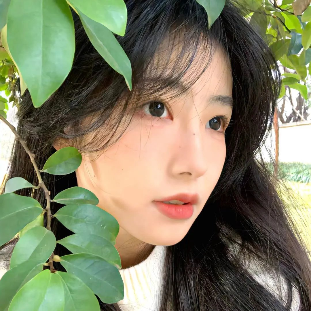 推新人的故事